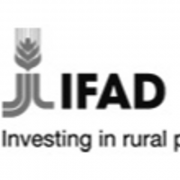 FIDA