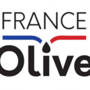 Ingénieur-conseil process agroalimentaire